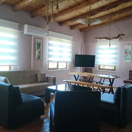 Villa Mayki *
